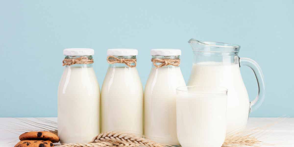 Milk
