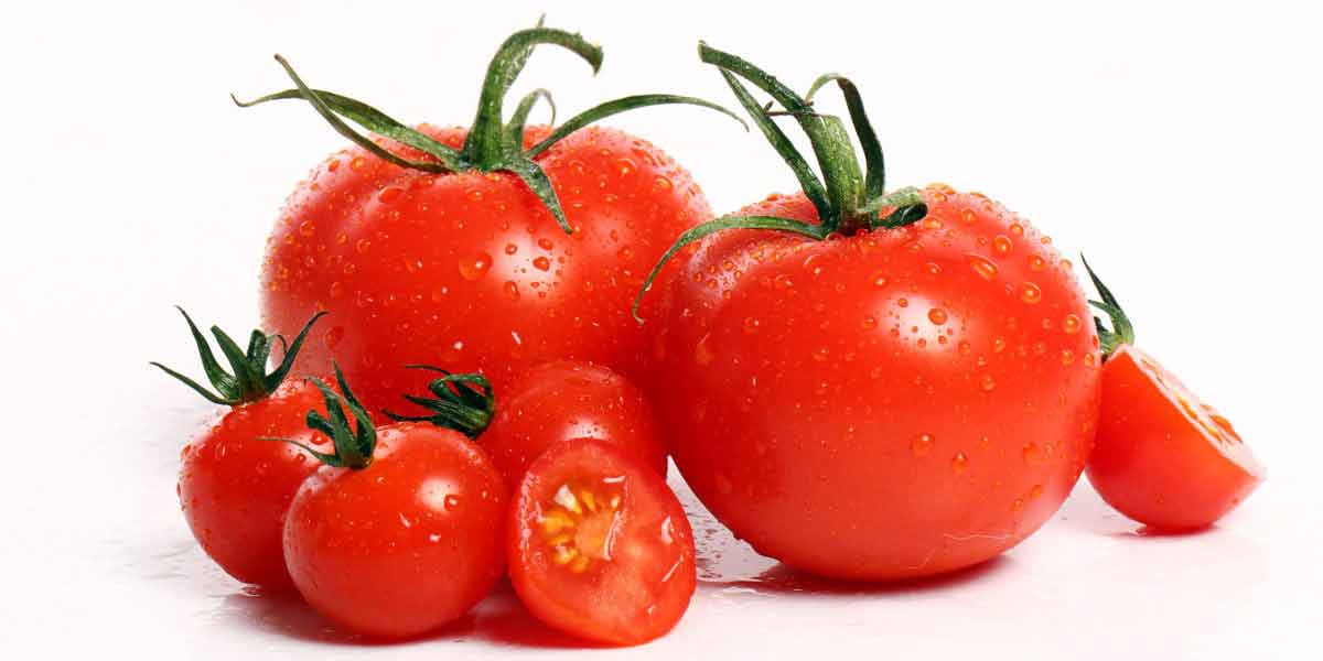 Tomatoes