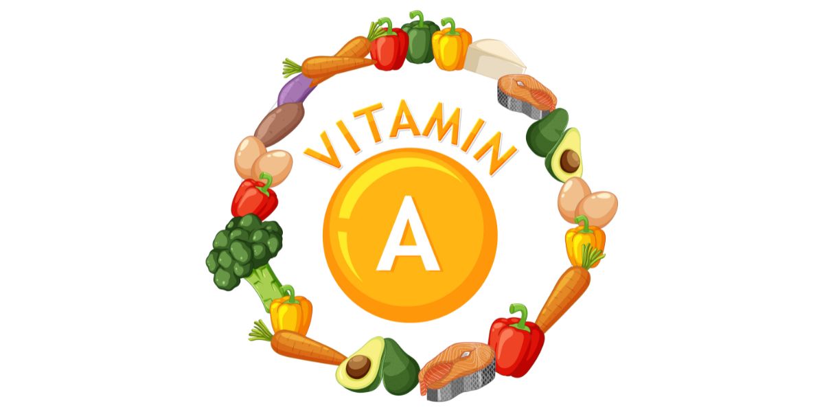 What is Vitamin A? Understanding Its Benefits, Vitamin A-Rich Foods