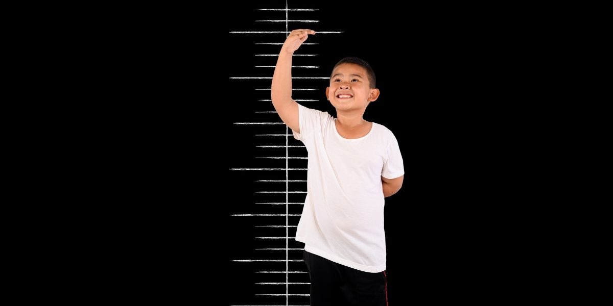 Height Weight Chart